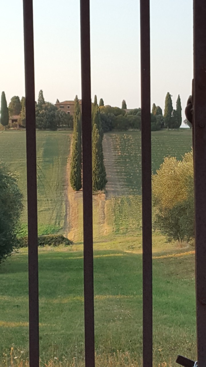 campagna toscana
