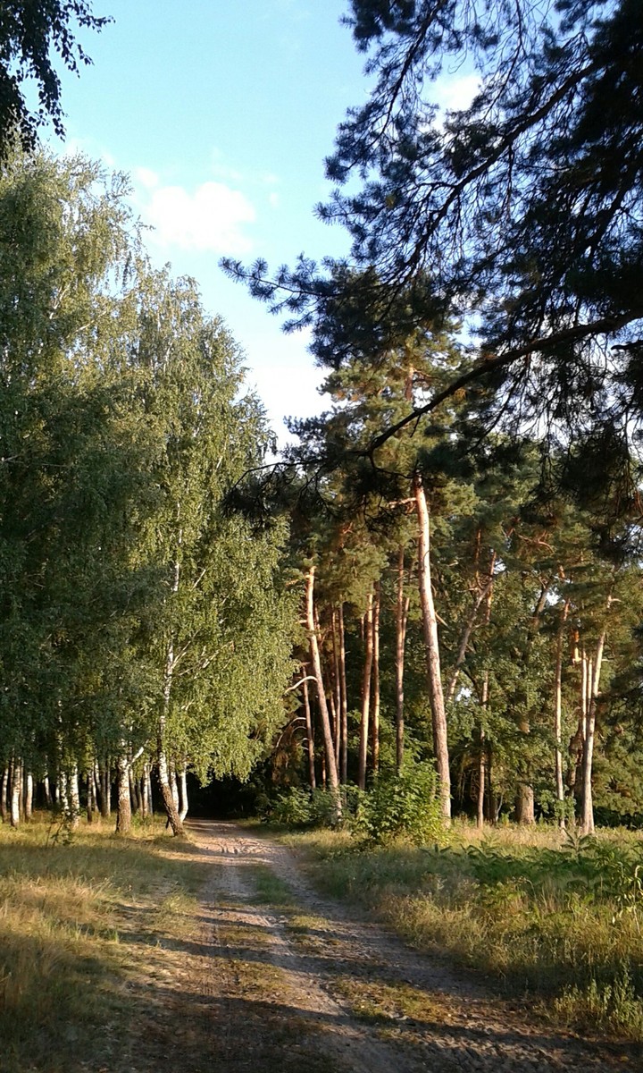 Mirgorodsky Park, Mirgorod, Ukraine.