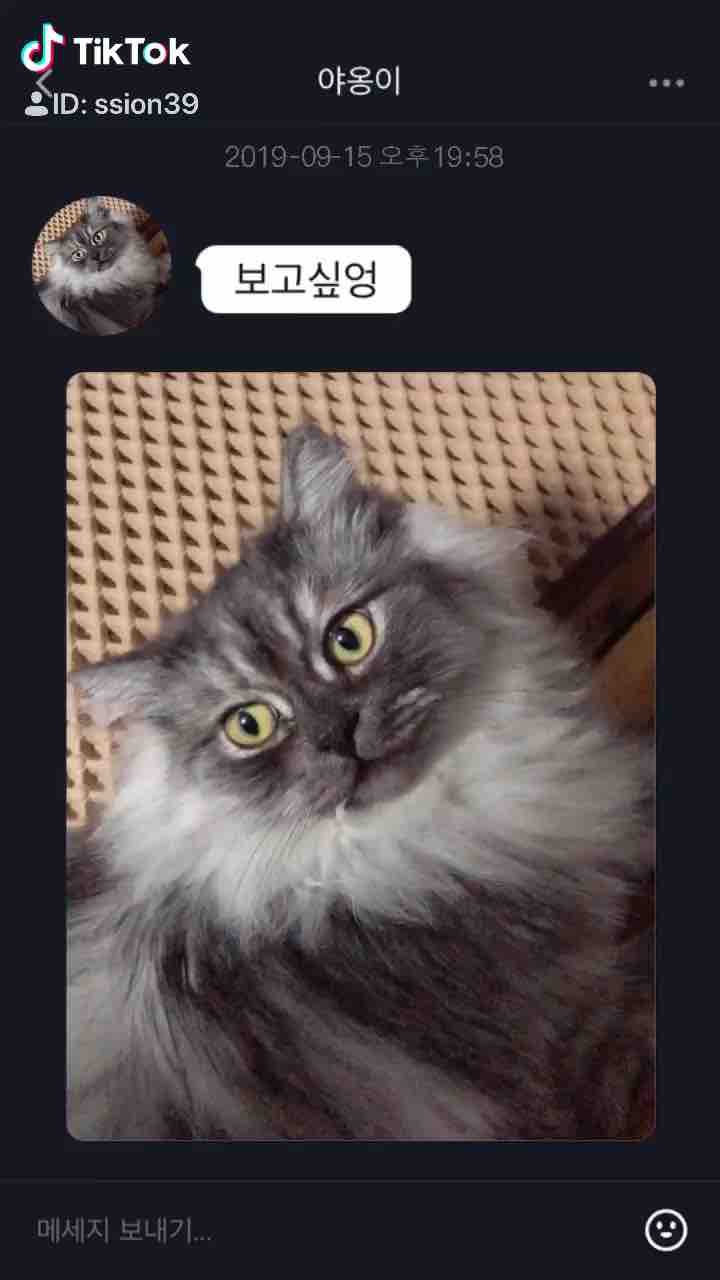 먼지