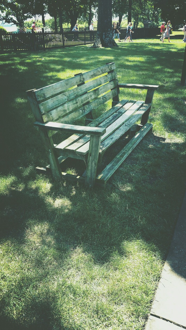 lonely bench