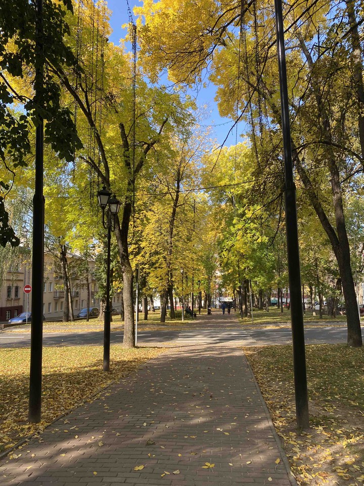 Беларусь Витебск осень