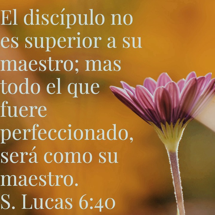 Versículos