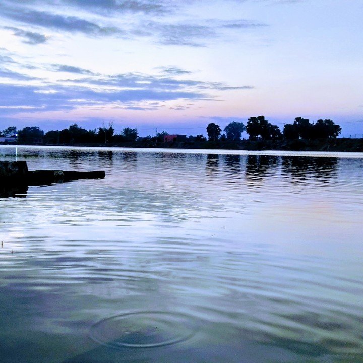 evening