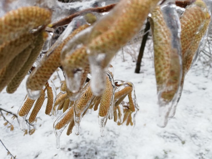magic winter