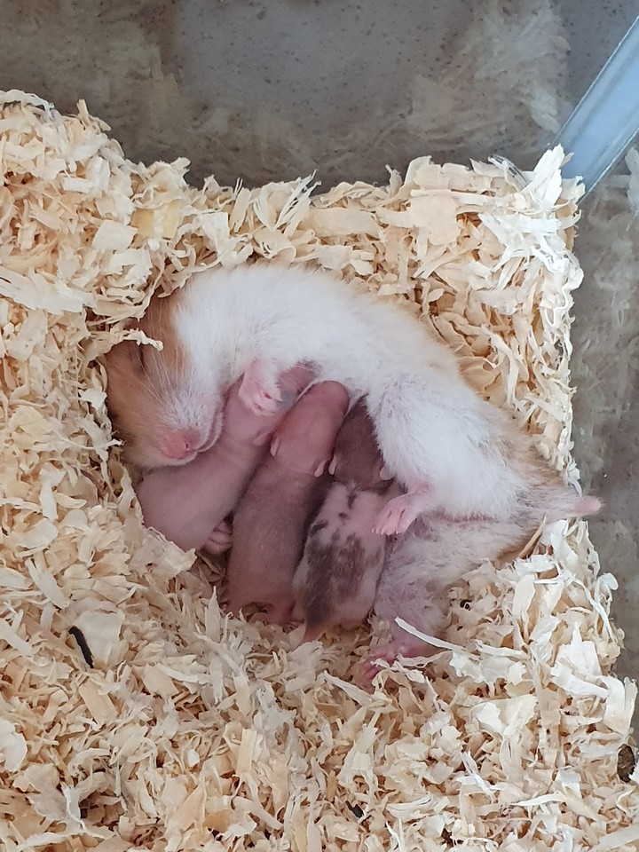 Zzzzz~