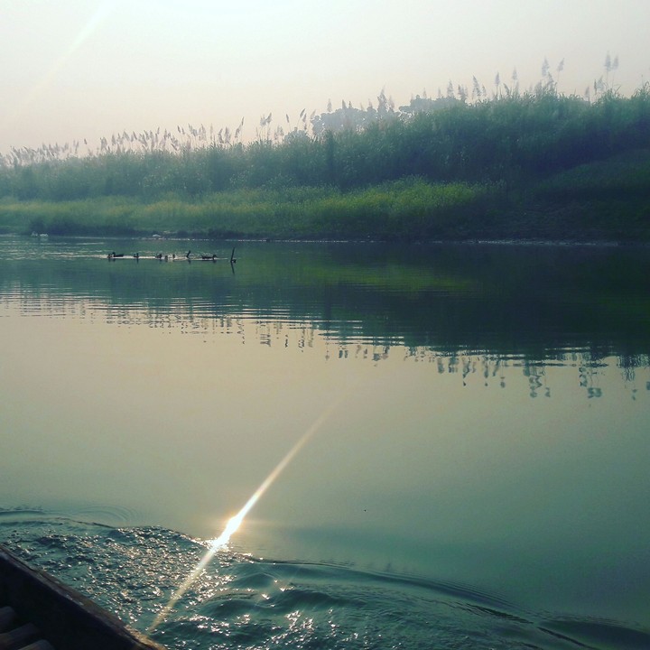 Morning Sun