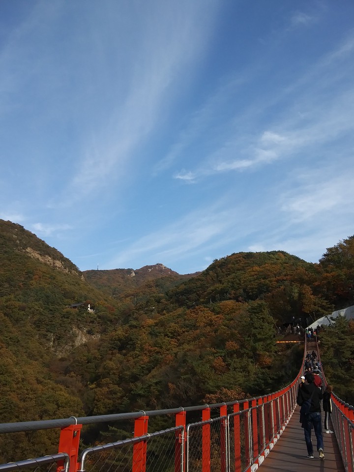 산