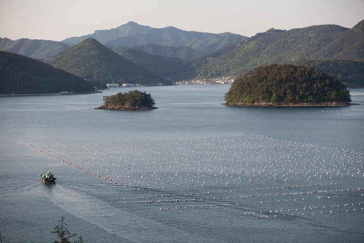 Asia