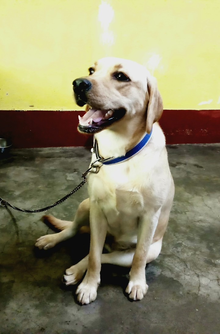 Lab