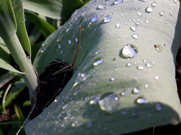 saw water drops and I took a picture