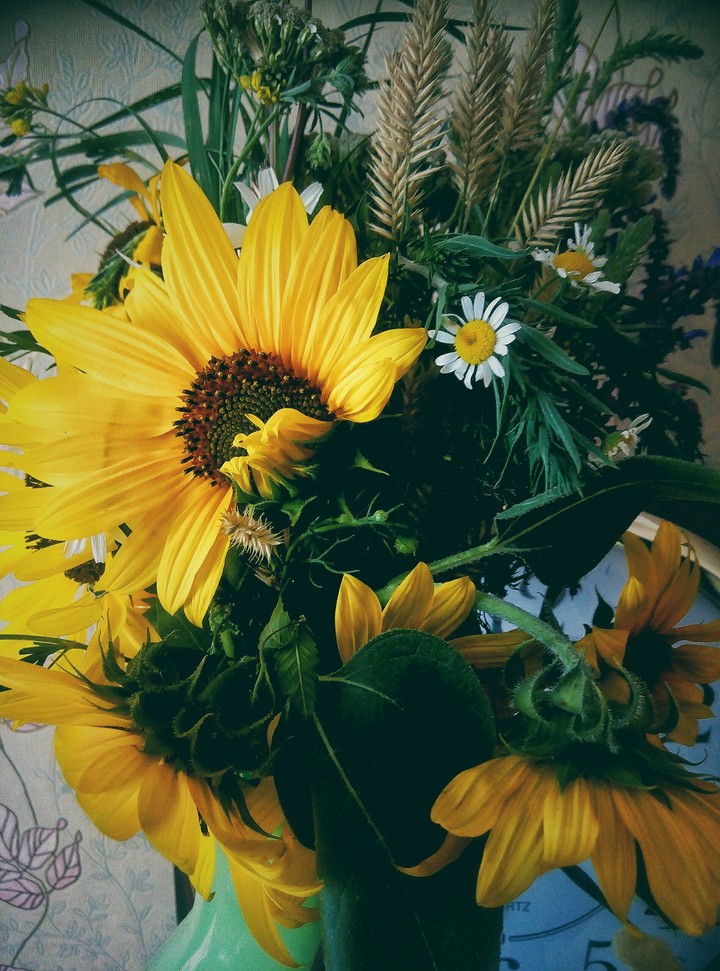 Herbs and sunflowers.