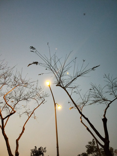 The light was still shining in the sky.