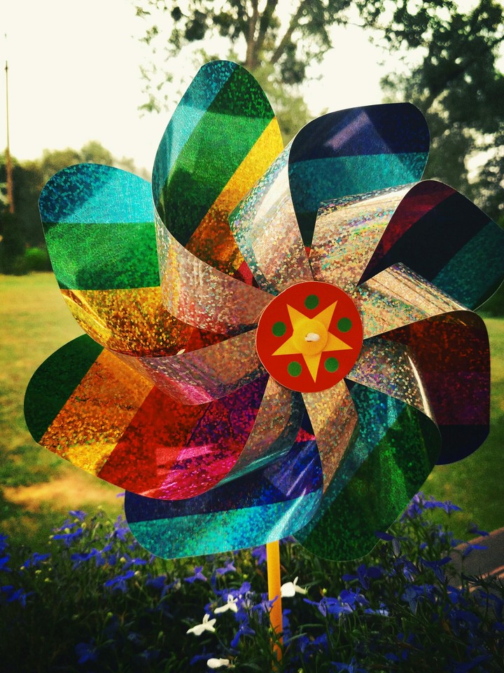 Colors