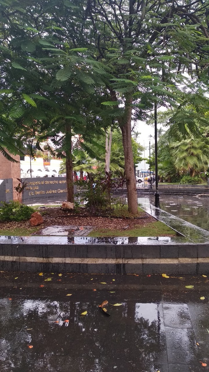 Parque Juárez