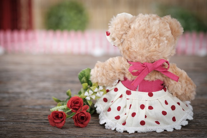 #toy