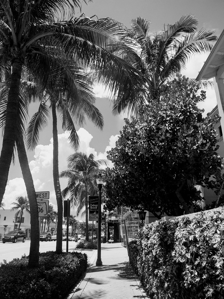 Delray Beach