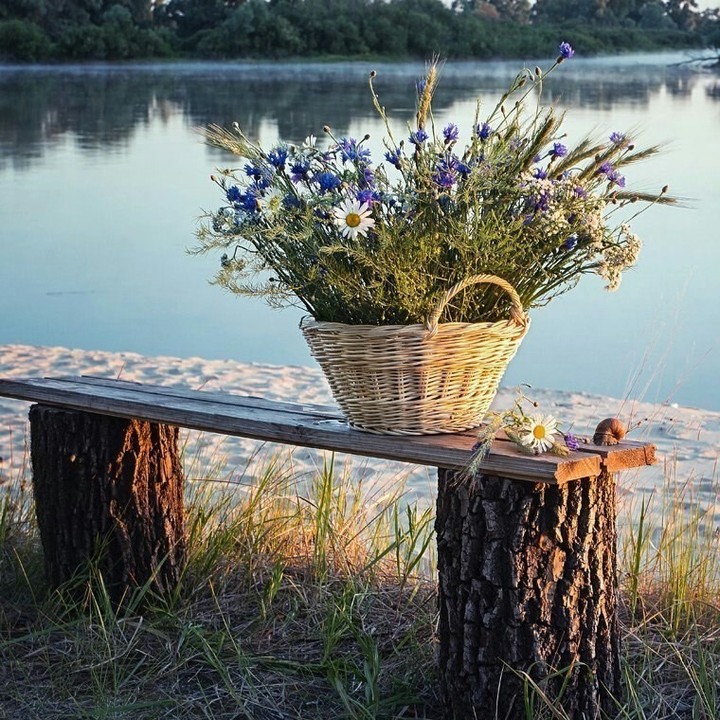 Корзина с цветами