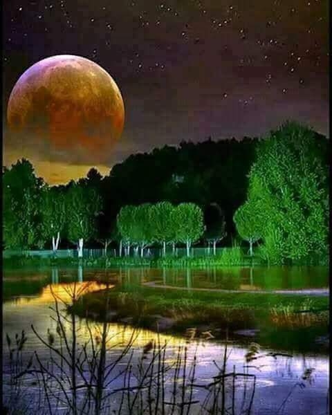 paysage autonome
