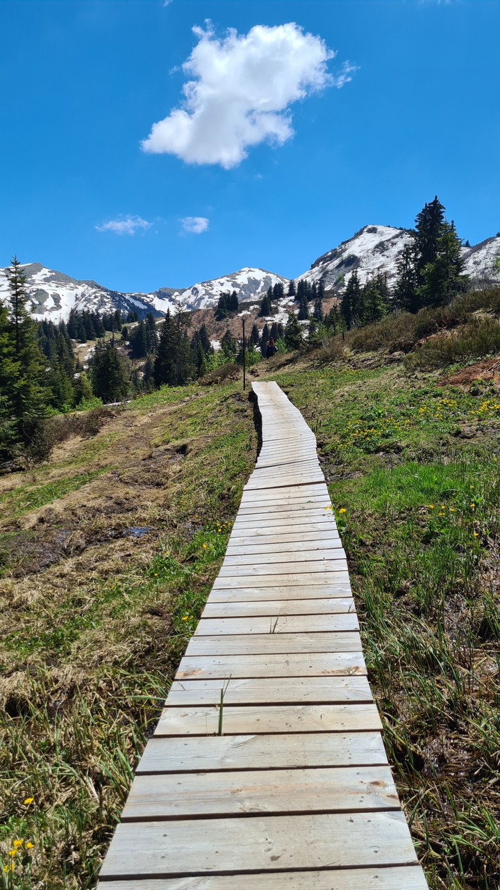 Mountain trail