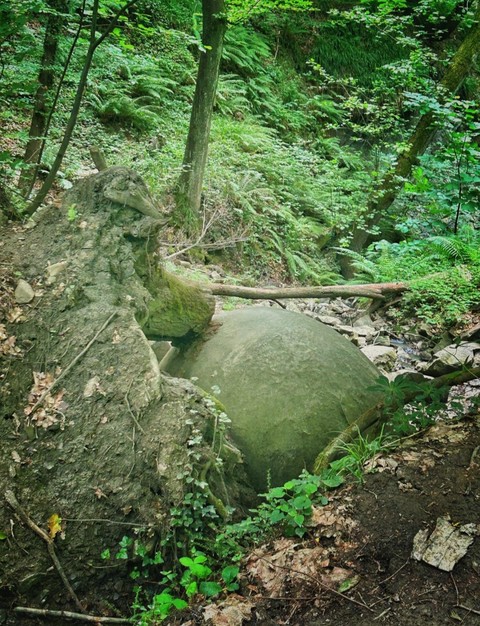 шпалери rainforest, Rock