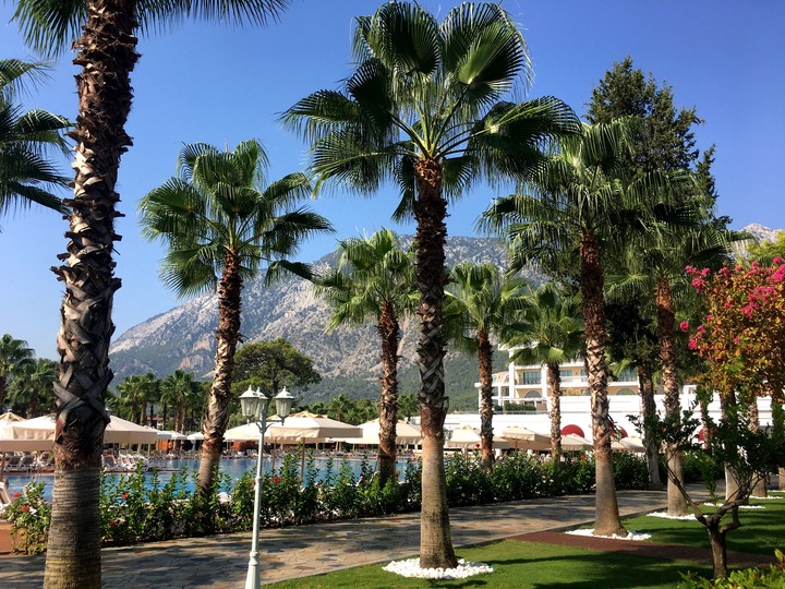 paradise