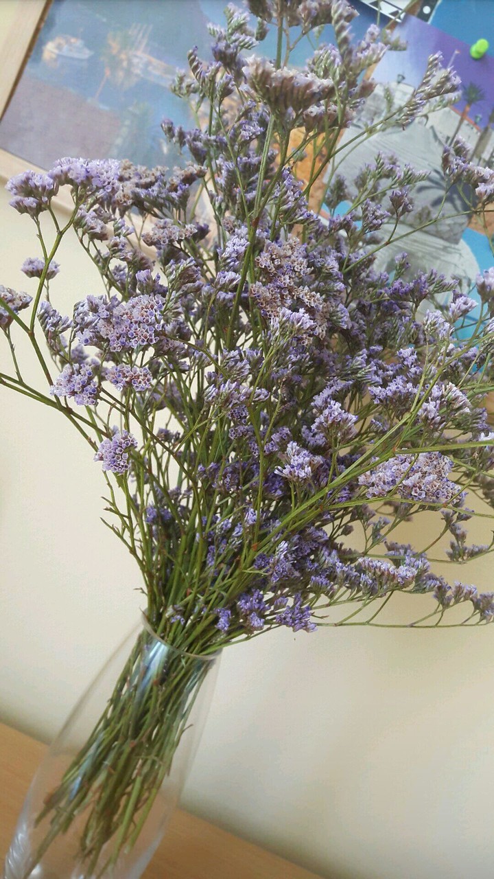Lick flowers