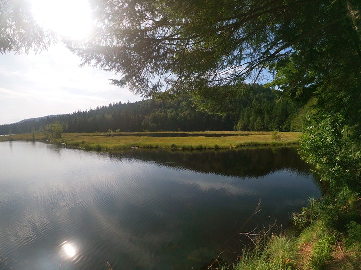 Lispach Lake