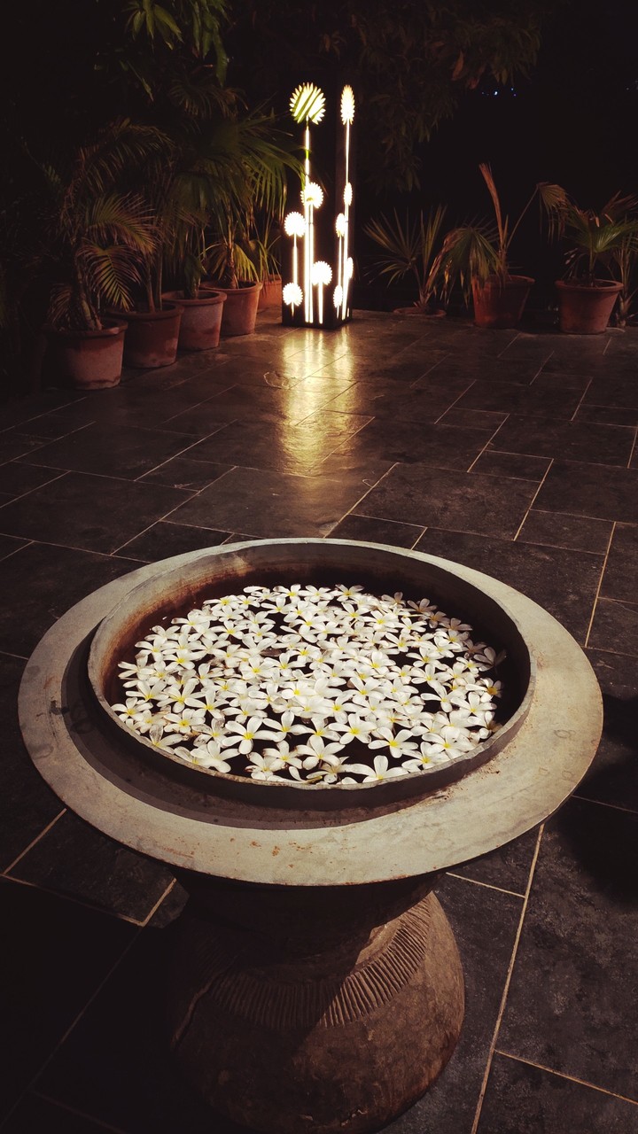Flower Pool