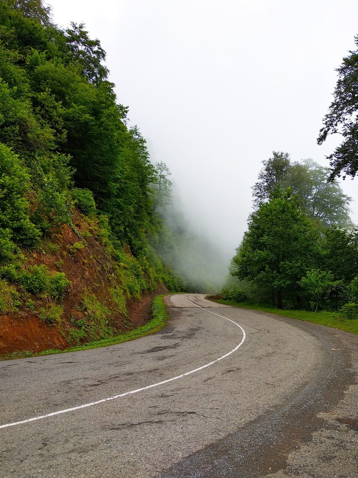 Road serpentine