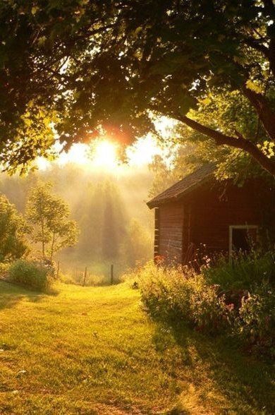 sun