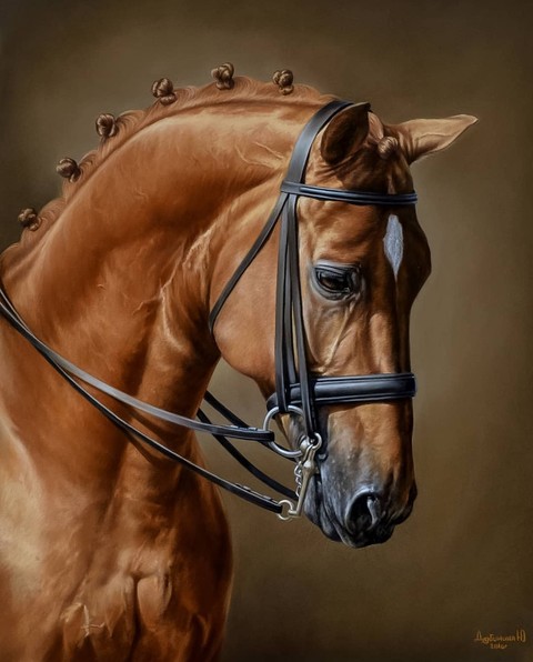 horse