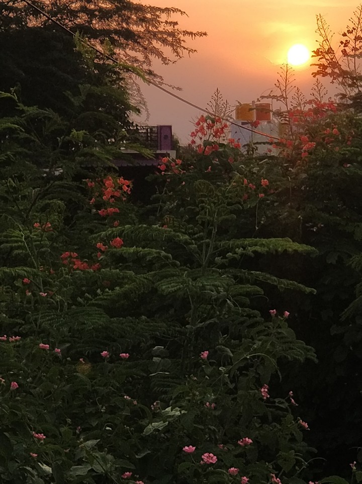 evening