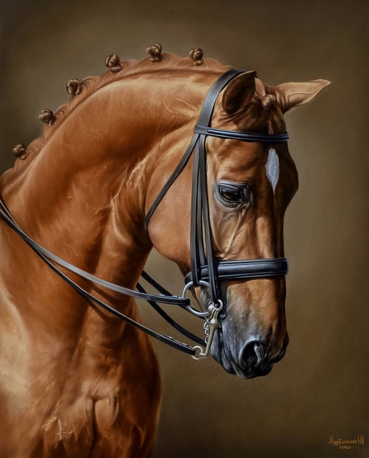 horse