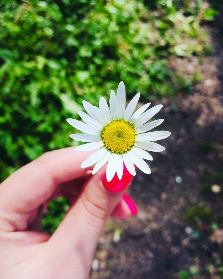 ♥