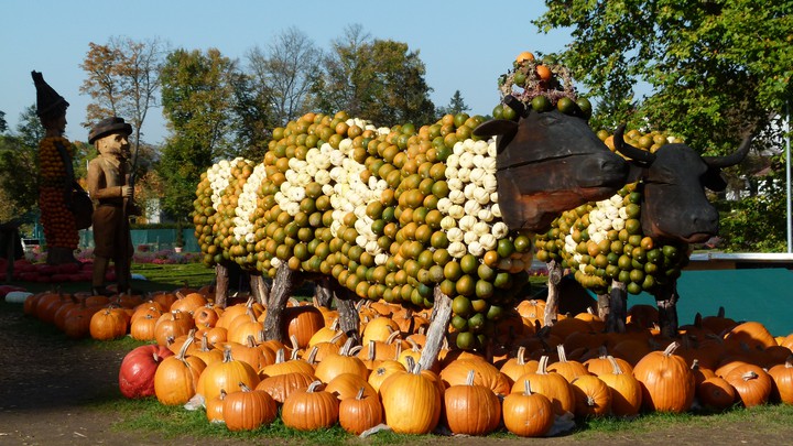 Kürbis Ausstellung Blühendes Barock Schloss Ludwigsburg 2012