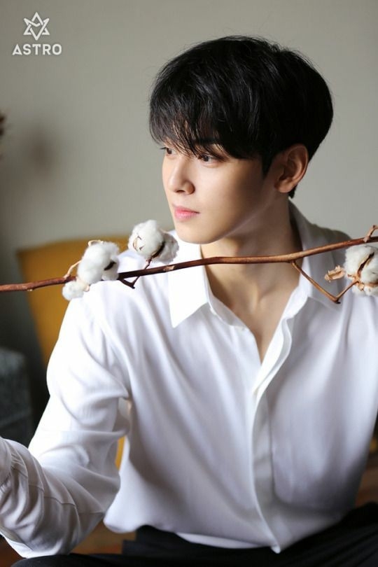 cha eun woo
