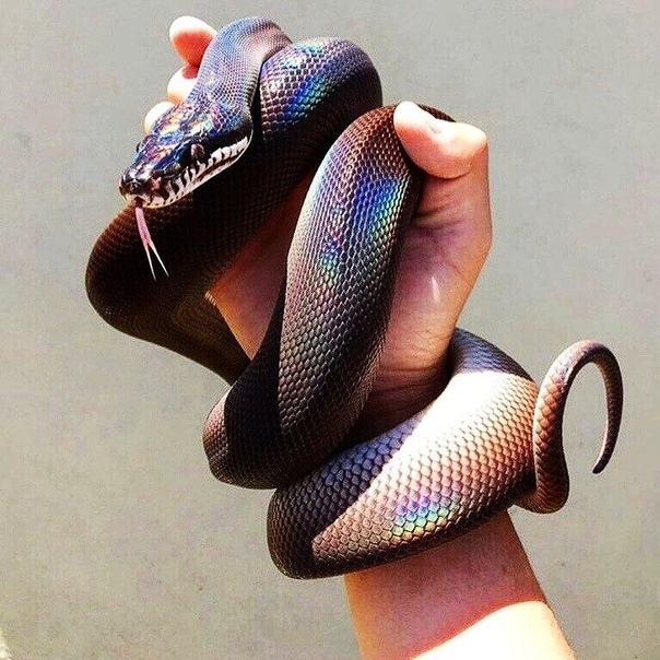 hhhh