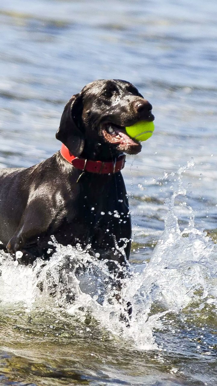 Have a splash 