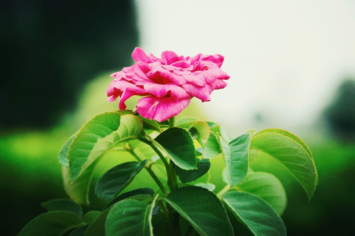 I am feelinG Proud To be click Like This