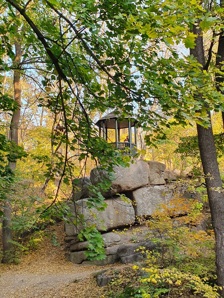 #autumn #park #nature #rocks #aclove #colors