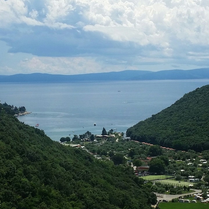 View point