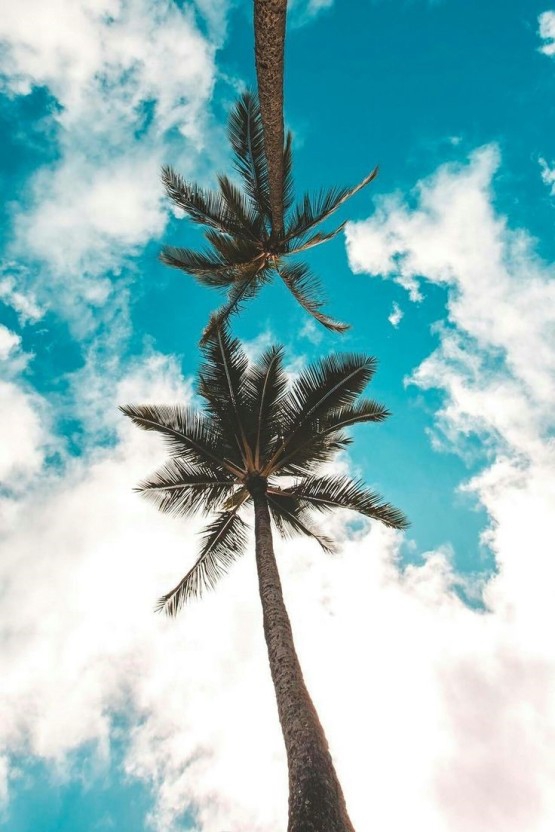 ♥