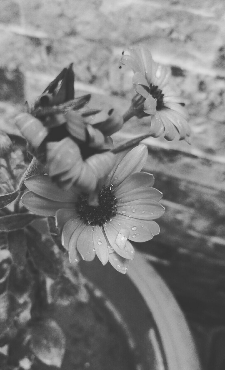 b&w