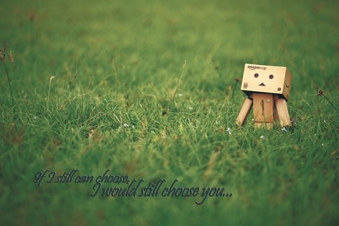 I Would Still Choose You