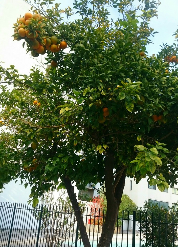 STAMATIOS
