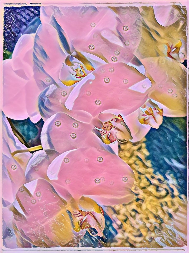 Pink Flower