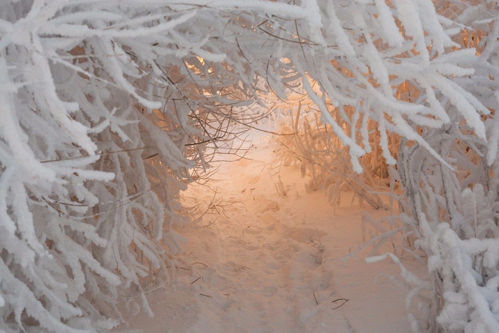 снег