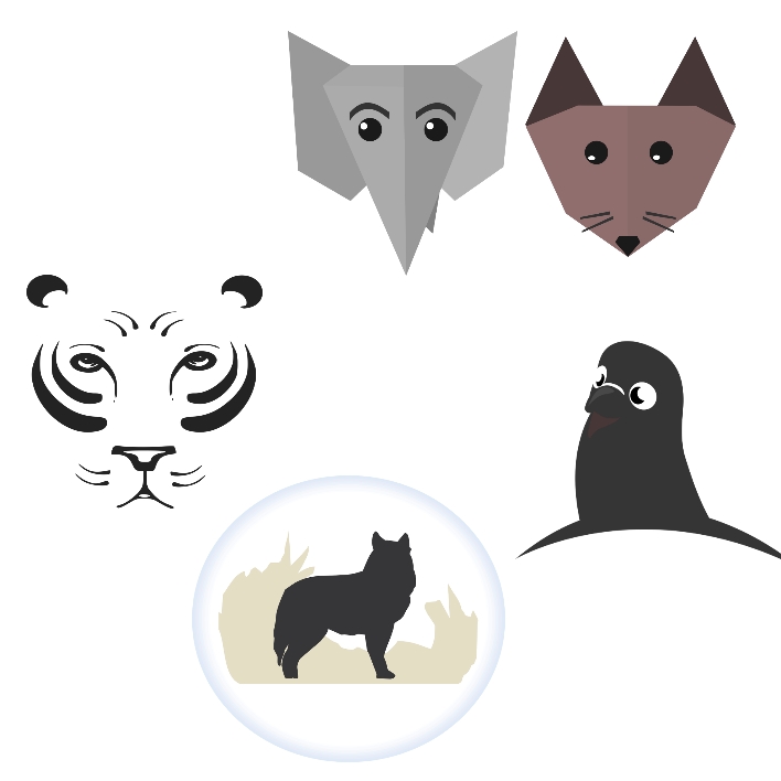 animals