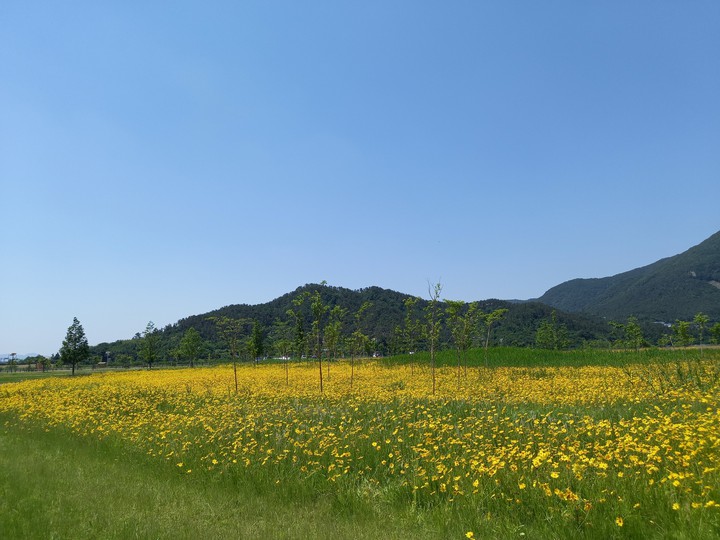 양산황산공원