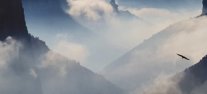 berge